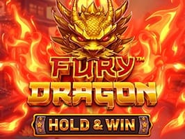 Fury Dragon